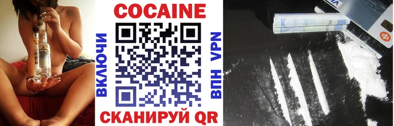 Купить где Кондопога Cocaine Fish Scale