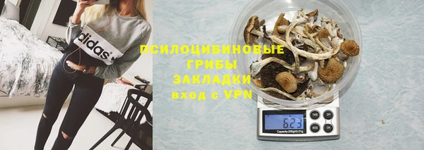 MDMA Premium VHQ Белокуриха