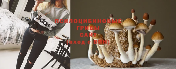 герыч Володарск